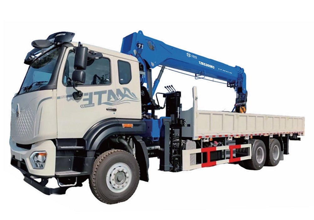 TZGS300H5